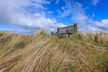 Boş bir çimenli tepe bankta.
