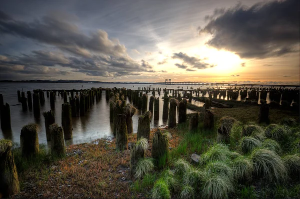 Holzpfähle bei Sonnenuntergang in Oregon. — Stockfoto