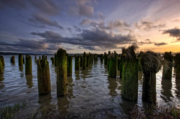 Palen in het water bij zonsondergang. — Stockfoto