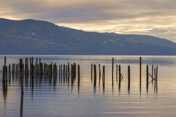 Postes dans l'eau calme du lac . — Photo