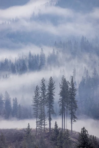 Felhők az észak-idahói hegyekben. — Stock Fotó