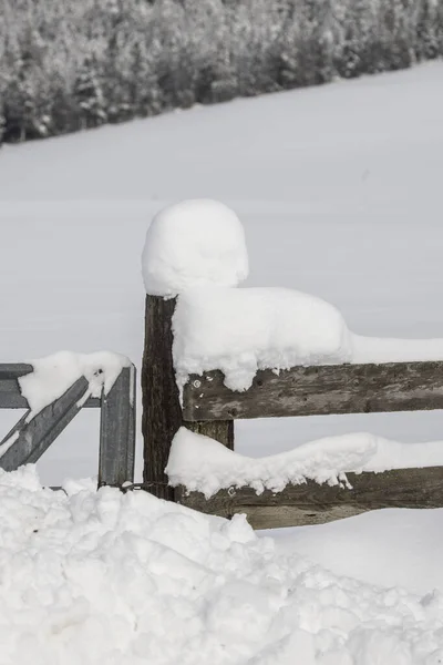 Schnee bedeckt Holzzaun und Pfosten. — Stockfoto