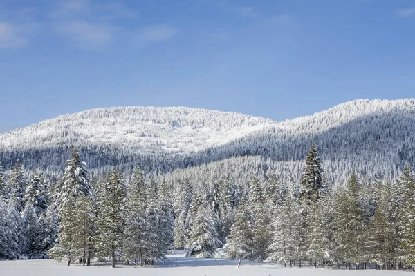 雪の覆われた山々 と木々. — ストック写真