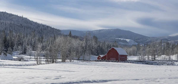 Panorama of rural winter in Idaho. — Stock Photo, Image