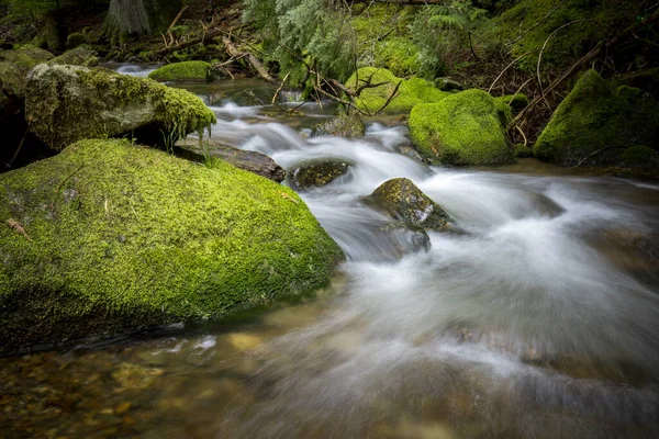 Petite Cascade Fluviale Rochers Vert Mousse Dans Les Montagnes Nord — Photo