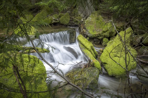 Kleine Rivier Waterval Mossige Groene Rotsen Bergen Van Het Noorden — Stockfoto