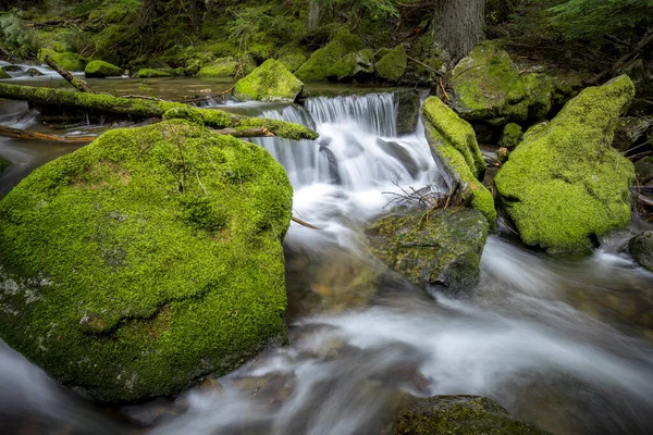 Kleine Flusskaskade Und Moosgrüne Felsen Den Bergen Von Nord Idaho — Stockfoto