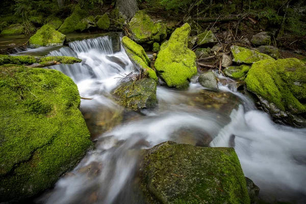 Kuzey Idaho Dağlarında Küçük Nehir Taşması Yosunlu Yeşil Kayalar — Stok fotoğraf