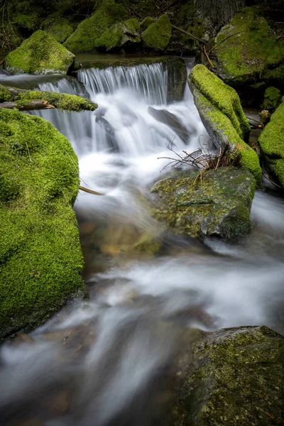 Маленький Річковий Каскад Мохові Зелені Скелі Горах Північного Айдахо — стокове фото