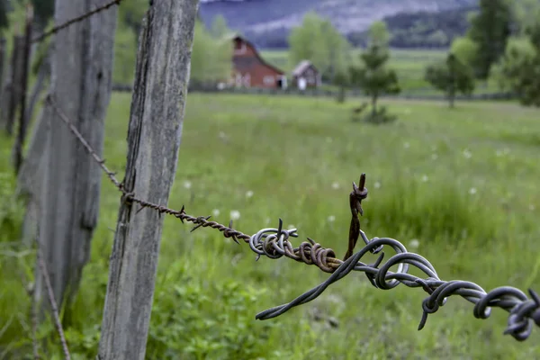 Close Barbed Wire Fence North Idaho — Stock Photo, Image