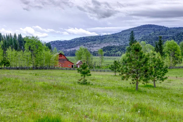 Une Vieille Grange Rouge Dans Pâturage Vert Dans Nord Idaho — Photo