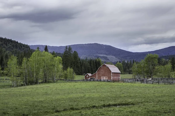 Gammal Röd Lada Grön Betesmark Norra Idaho — Stockfoto