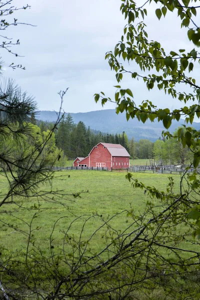 Att Den Röda Ladan Genom Trädgrenarna Norra Idaho — Stockfoto
