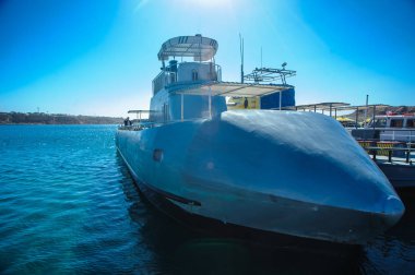 Kızıldeniz içinde denizal 