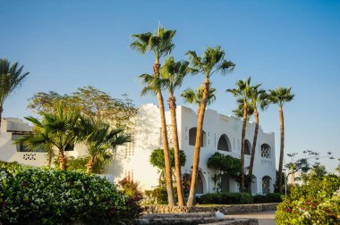 Arap tropikal konumu beyaz evler