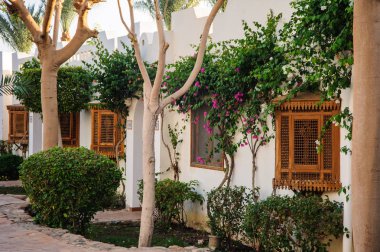  tropikal yeri cennet