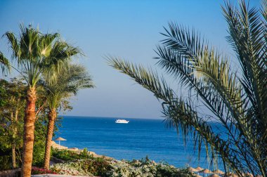  tropikal yeri cennet