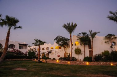 geceyi paradise palm 