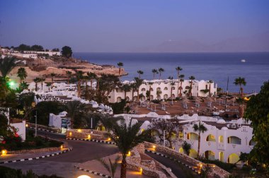 geceyi paradise palm 