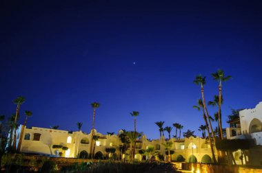 Cennette gece palm Arap