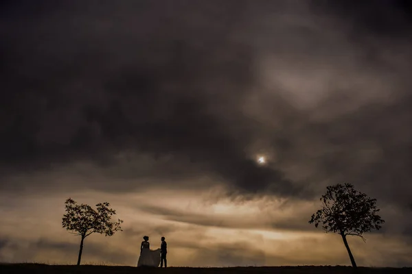 Nozze sposa sposo cielo — Foto Stock