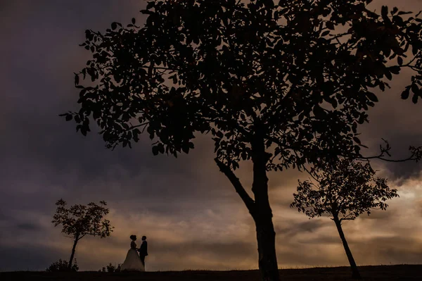 Nozze sposa sposo cielo — Foto Stock