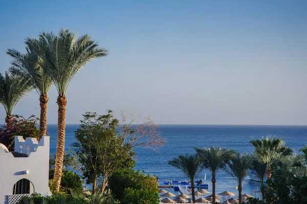 kırmızı deniz beyaz evler tropikal