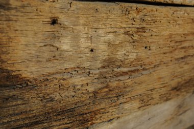 kahverengi ahşap zemin