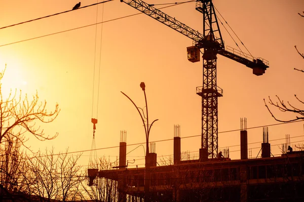 Silhouette of construction tower crane