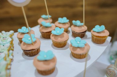 beyaz mavi turkuaz çerezleri bunny stile ve cupcakes