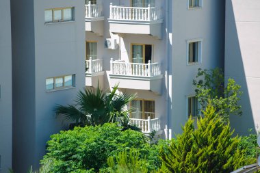 ağaçlar ve dekorasyon ağaçlar bir otelin yakınında