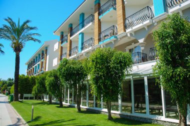 ağaçlar ve dekorasyon ağaçlar bir otelin yakınında