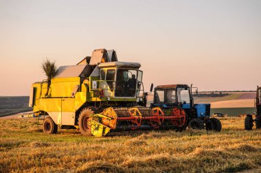 Buğday kesen hasatçıları birleştirin,