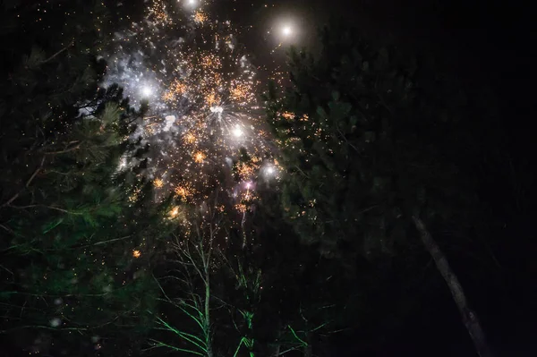 Bela exibição de fogos de artifício coloridos para celebração em bac escuro — Fotografia de Stock