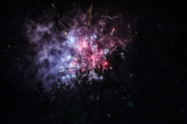 Bela exibição de fogos de artifício coloridos para celebração em bac escuro — Fotografia de Stock