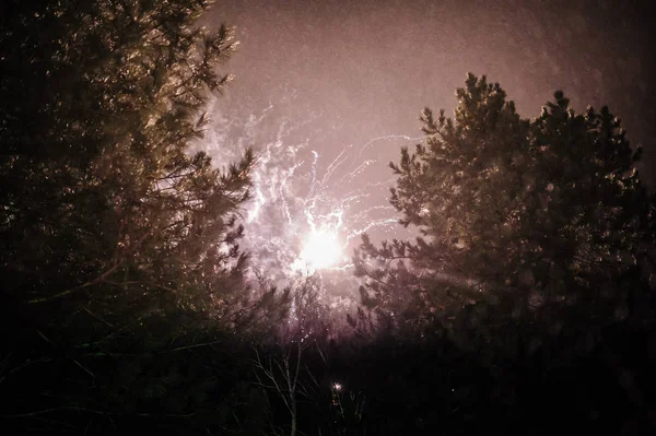 Bela exibição de fogos de artifício coloridos para celebração em bac escuro — Fotografia de Stock