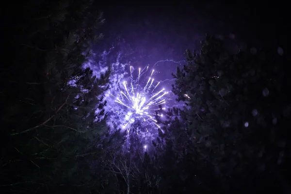 Όμορφη πολύχρωμα πυροτεχνήματα επίδειξη για τη γιορτή στο σκοτεινό BAC — Φωτογραφία Αρχείου