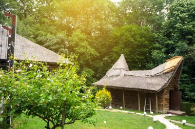 Ağaçlarla çevrili güzel bir arazide ahşap bir ev.