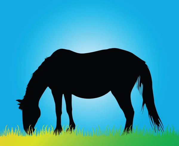 Paard Het Eten Van Gras Aan Blauwe Hemel — Stockvector