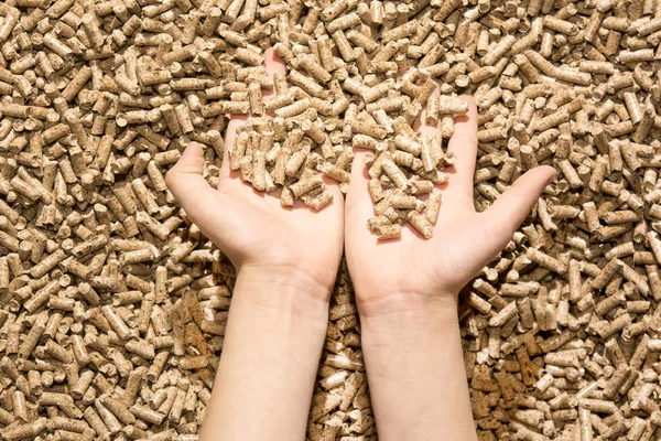 Children`s hand with natural wood pellet — Stock Photo, Image