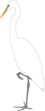  vahşi heron standları 