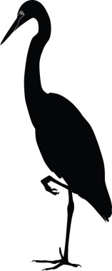  vahşi heron standları 