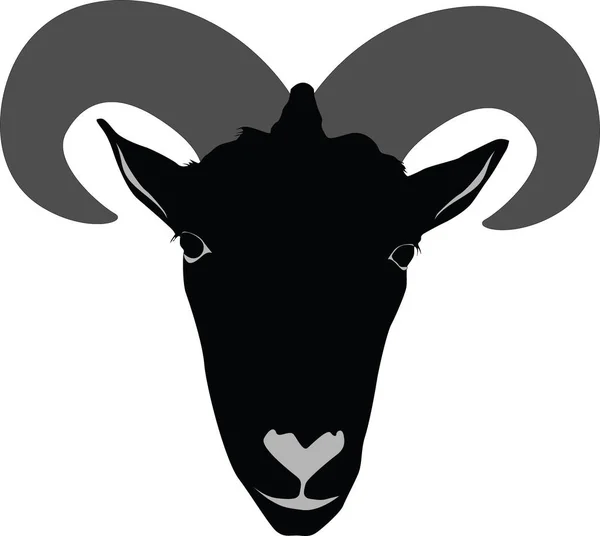 Barbery sheep portrait — Stockvector