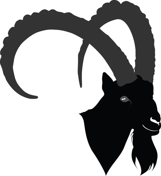 IBEX głowy sylwetka — Wektor stockowy