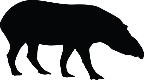 Tapir siluet vektör — Stok Vektör