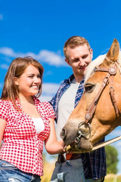 Paar kinderboerderij paard — Stockfoto