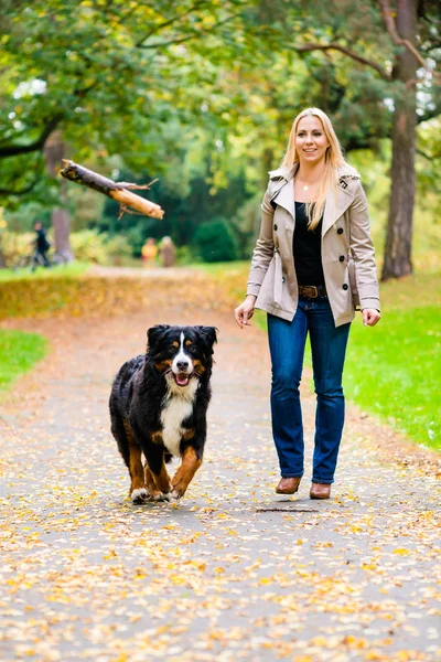 Woman and dog at retrieving stick game — Stock Photo, Image