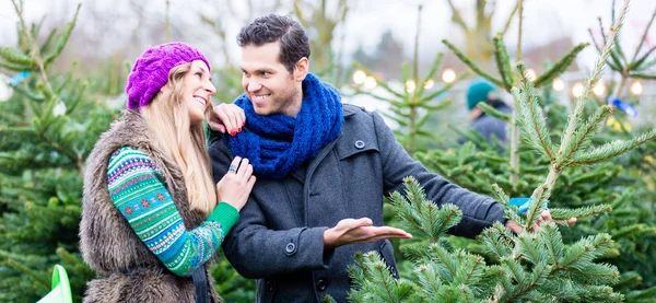 Γυναίκα και άνδρας αγοράζοντας χριστουγεννιάτικο δέντρο — Φωτογραφία Αρχείου