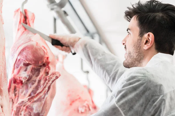 Butcher in butchery or slaughterhouse cutting meat — Stock Photo, Image