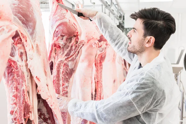 Butcher in butchery or slaughterhouse cutting meat — Stock Photo, Image